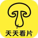蘑菇视频